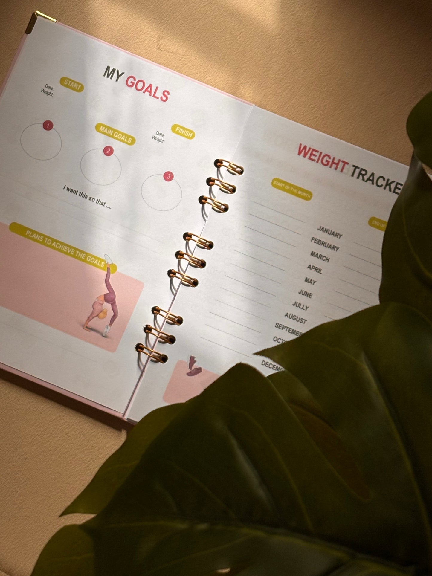 Fitness Planner