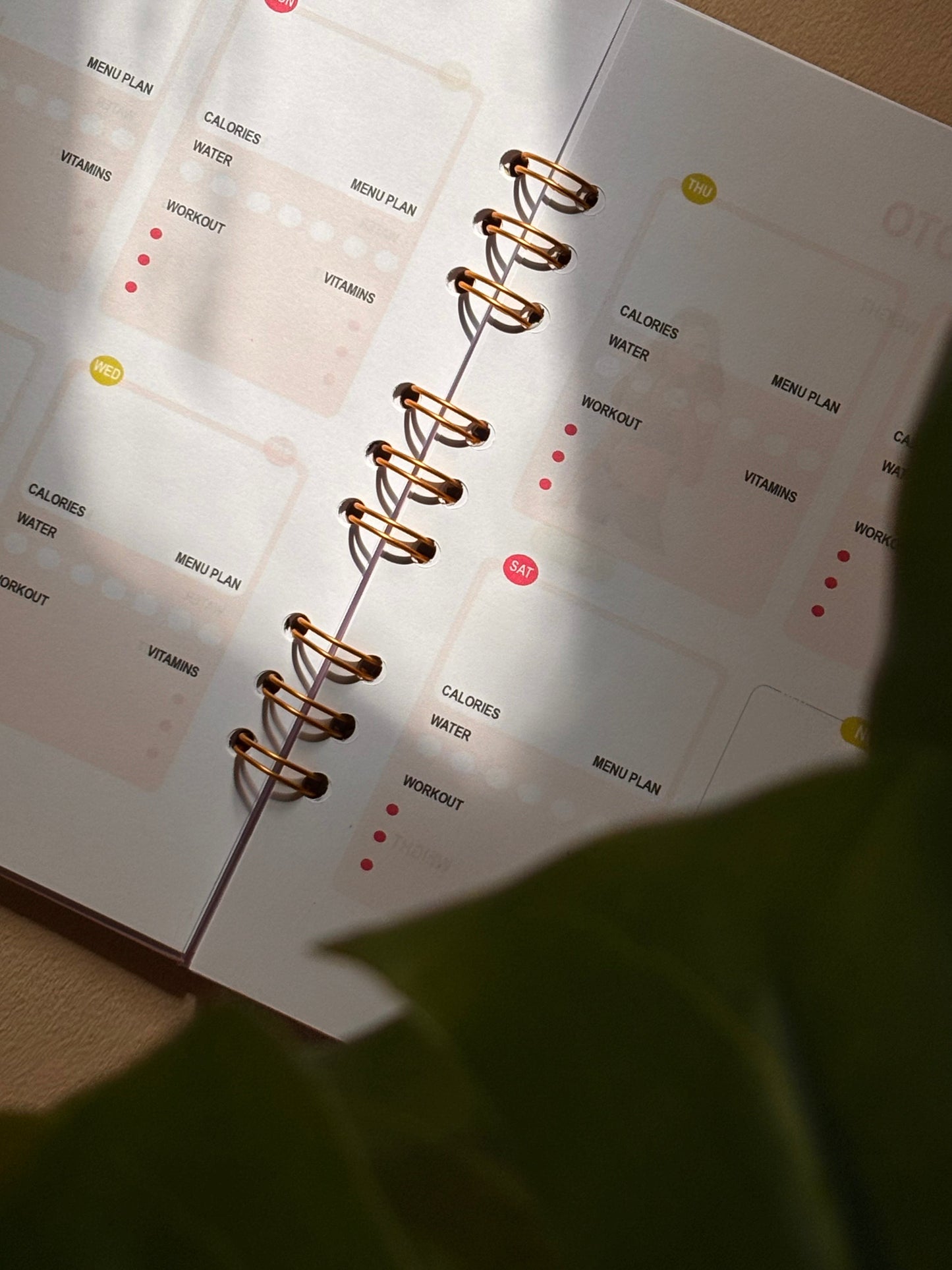 Fitness Planner