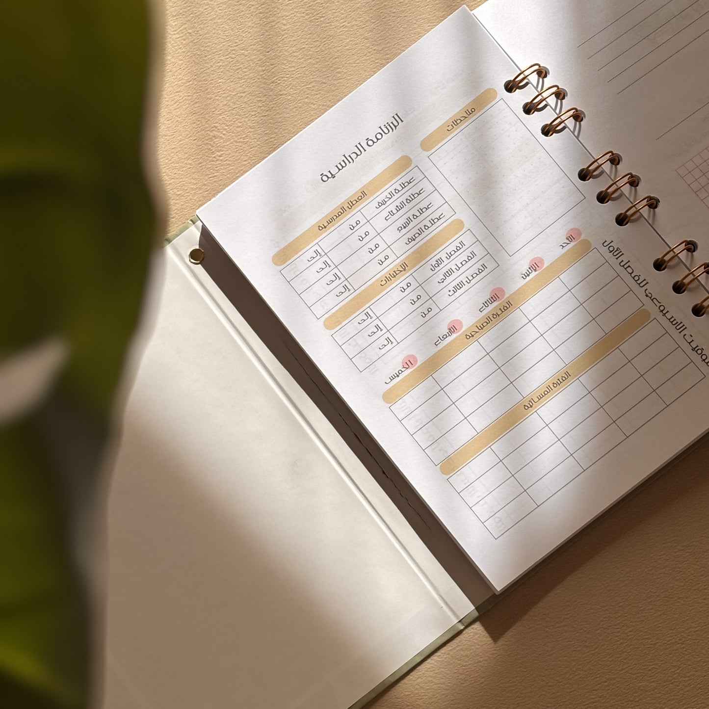 BAC PLANNER 2027