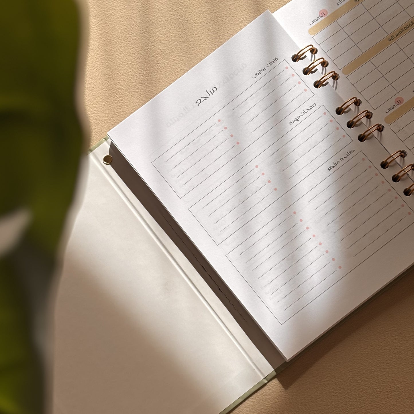 BAC PLANNER 2027
